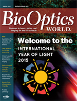 Volume 8, Issue 1 cover image