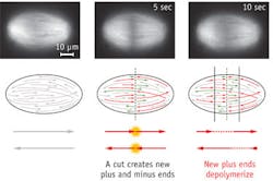 0205bowbreakf1 0205bowbreakf1