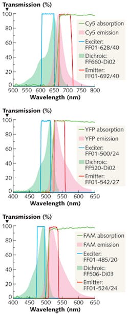 FIGURE 1: Absorption (green shaded area) and emission (pink shaded area) spectra of the three fluorophores used in the research describe fluorescence image-guided tumors and surrounding tissue. The spectra of optimal corresponding filters (green line) can be used in a FIGS microscope. Hard-coated interference filters having high (>95%) light transmission passbands and steep edges enable the collection and display of fluorescence microscopy images with high signal-to-noise ratios (for example, high image fidelity). So, high-quality optical filters are critical for removing small pieces of tumor that may otherwise go undetected. FIGURE 1: Absorption (green shaded area) and emission (pink shaded area) spectra of the three fluorophores used in the research describe fluorescence image-guided tumors and surrounding tissue. The spectra of optimal corresponding filters (green line) can be used in a FIGS microscope. Hard-coated interference filters having high (>95%) light transmission passbands and steep edges enable the collection and display of fluorescence microscopy images with high signal-to-noise ratios (for example, high image fidelity). So, high-quality optical filters are critical for removing small pieces of tumor that may otherwise go undetected.