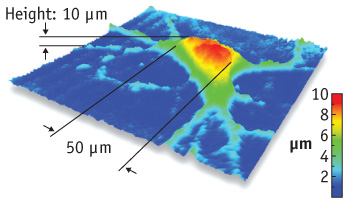 Depicted by digital holographic microscopy, a neuron can be imaged with resolution to 10 nm.