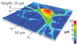 Depicted by digital holographic microscopy, a neuron can be imaged with resolution to 10 nm. Depicted by digital holographic microscopy, a neuron can be imaged with resolution to 10 nm.