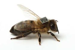 1110ilsupdatef1 1110ilsupdatef1