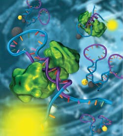 1111bowbreak Fig4 1111bowbreak Fig4