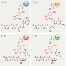 1111bowmetzkerf1 1111bowmetzkerf1
