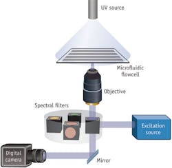 1111bowmetzkerf4 1111bowmetzkerf4