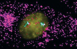 1111bownews Fig2 1111bownews Fig2