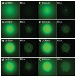 1111bowreissf1 1111bowreissf1