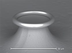 1201bowreissf1 1201bowreissf1