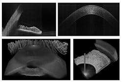 1201huber Fig6 1201huber Fig6