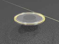 1201reiss Fig2 1201reiss Fig2