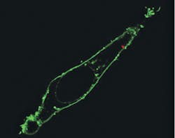 1203bowbreak P14 1203bowbreak P14