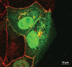 1203break Fig7 1203break Fig7