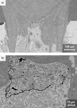 1203ilsmarchwebf09 1203ilsmarchwebf09