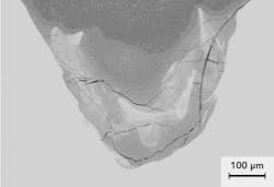 1203ilsmarchwebf12 1203ilsmarchwebf12