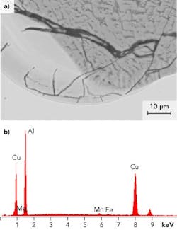1203ilsmarchwebf13 1203ilsmarchwebf13