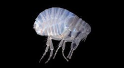 1205bownews Fig5 1205bownews Fig5