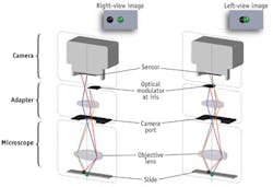 1205bowveltmanf1 1205bowveltmanf1