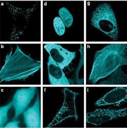 1205break Fig8 1205break Fig8
