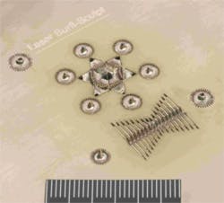 1205ilsf1f7 1205ilsf1f7