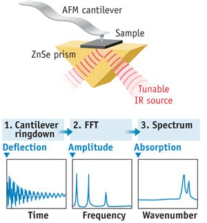 FIGURE 1. AFM-IR uses a pulsed, tunable IR source to illuminate the specimen. As the sample absorbs radiation, rapid thermal expansion excites resonant oscillations&mdash;which decay in a characteristic ringdown&mdash;in the cantilever. The ringdown can be analyzed via Fourier techniques to extract amplitudes and frequencies. Measuring the amplitudes as a function of the source wavelength creates local absorption spectra; the oscillation frequencies of the ringdown are related to the mechanical stiffness of the sample.