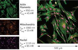 1207bowsmithf1 1207bowsmithf1