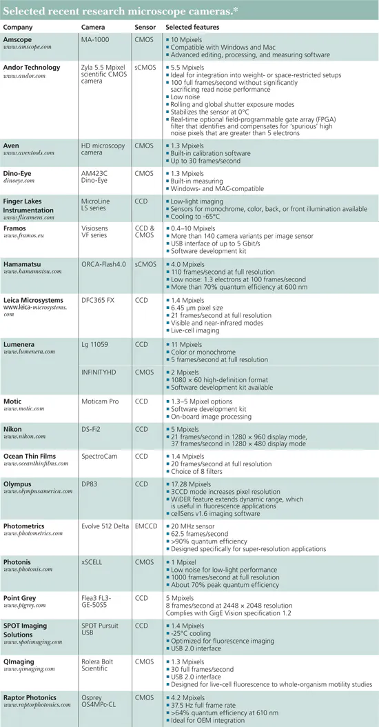 MICROSCOPY/IMAGE SENSORS: Sorting out microscope cameras | Laser Focus ...
