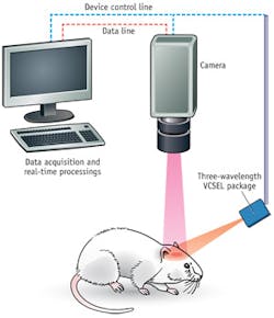 1209bowlevif2 1209bowlevif2