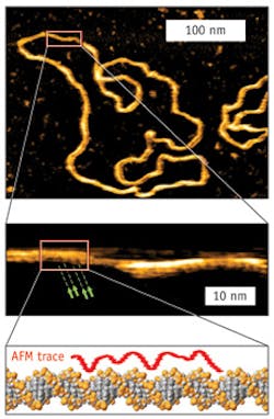 1209bownewsf2 1209bownewsf2