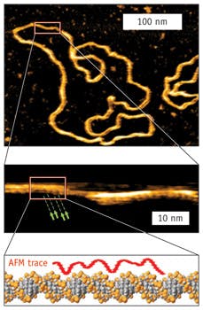 1209bownewsf2 1209bownewsf2