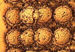 1209ils F1fig 1209ils F1fig