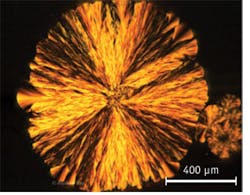 1211bowendf2 1211bowendf2