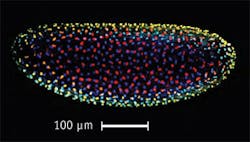 1211bowlangf2 1211bowlangf2