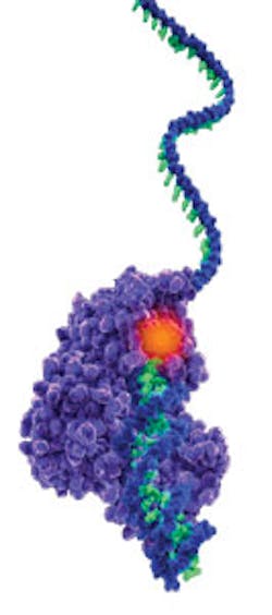 1211bowmardisopener 1211bowmardisopener