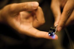 1211bownews Fig1 1211bownews Fig1