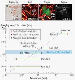 FIGURE 2. Multiscale PAT of organelles, cells, tissues, and organs in-vivo: (a) Subwavelength PAM highlights melanosomes in the ear of a black mouse; (b) OR-PAM shows individual red blood cells traveling along a capillary in a mouse ear; (c) AR-PAM depicts a nevus on a human forearm; and (d) PACT images a human breast. Imaging depth varies with spatial resolution (graph). FIGURE 2. Multiscale PAT of organelles, cells, tissues, and organs in-vivo: (a) Subwavelength PAM highlights melanosomes in the ear of a black mouse; (b) OR-PAM shows individual red blood cells traveling along a capillary in a mouse ear; (c) AR-PAM depicts a nevus on a human forearm; and (d) PACT images a human breast. Imaging depth varies with spatial resolution (graph).