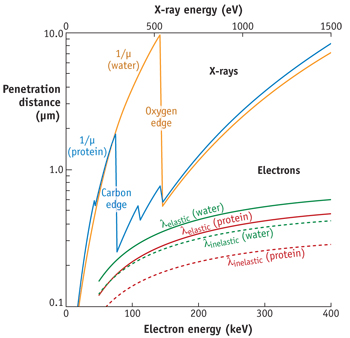 FIGURE 2. This comparison of atomic scattering cross-sections shows x-ray photoelectric, elastic, and Compton plots for carbon as a function of wavelength. Photoelectric absorption provides high contrast for organic material in the soft x-ray regime (including the 'water window'), while Compton scattering of photons by free electrons becomes dominant for hard x-rays [2].