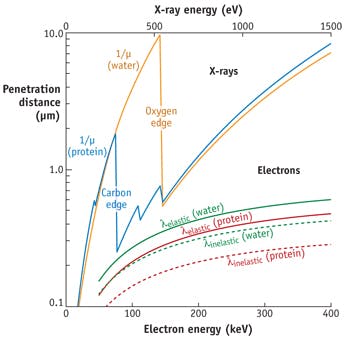 FIGURE 2. This comparison of atomic scattering cross-sections shows x-ray photoelectric, elastic, and Compton plots for carbon as a function of wavelength. Photoelectric absorption provides high contrast for organic material in the soft x-ray regime (including the &apos;water window&apos;), while Compton scattering of photons by free electrons becomes dominant for hard x-rays [2].