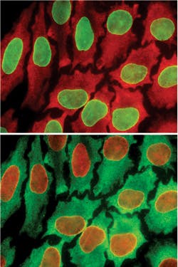 1305bowbreak Fig5 1305bowbreak Fig5