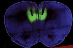 1305bowbreak Fig8 1305bowbreak Fig8