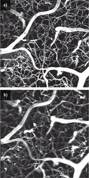 1305bowbreakf1 1305bowbreakf1