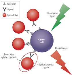 FIGURE 1. Smart dye makes cancer cells glow by conjugating to a probing ligand such as an antibody, aptamer, or peptide. FIGURE 1. Smart dye makes cancer cells glow by conjugating to a probing ligand such as an antibody, aptamer, or peptide.