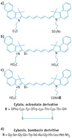 FIGURE 2. While (a) indocyanine green (ICG) has no specific mechanism of action for localizing in tumors, (b) the carboxylic group in cypate&apos;s molecular structure makes it reactive. The peptide-dye conjugates (c) cytate and (d) cybesin are cypate derivatives.