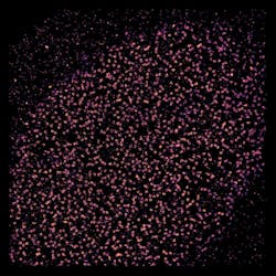 1309bowbreak Fig4 1309bowbreak Fig4