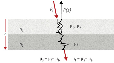 FIGURE 1. The backscatter power equation and tissue reflection from two different tissues have indices of n1 and n2, respectively.