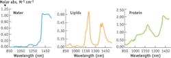 FIGURE 2. Absorption spectra in exNIR of major endogenous tissue chromophores: water, protein (represented here by albumin), and lipids.