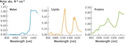 FIGURE 2. Absorption spectra in exNIR of major endogenous tissue chromophores: water, protein (represented here by albumin), and lipids. FIGURE 2. Absorption spectra in exNIR of major endogenous tissue chromophores: water, protein (represented here by albumin), and lipids.