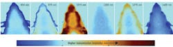 FIGURE 6. Images of a mouse head in transmission geometry obtained at different wavelengths. Signals were divided by the illumination spectrum and normalized to their respective intensities at 800 nm. Red color indicates higher transmission. FIGURE 6. Images of a mouse head in transmission geometry obtained at different wavelengths. Signals were divided by the illumination spectrum and normalized to their respective intensities at 800 nm. Red color indicates higher transmission.