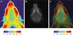 FIGURE 7. Imaging of a mouse head: exNIR image at the ratio 1075/975 nm (a), an x-ray image of the same region of the mouse (b), and co-registration exNIR/x-ray imaging (c).