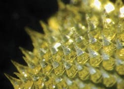 1401bowbreak Fig10 1401bowbreak Fig10