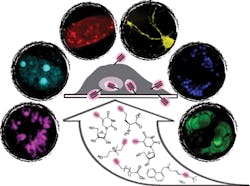 1403bowbreak Fig1 1403bowbreak Fig1